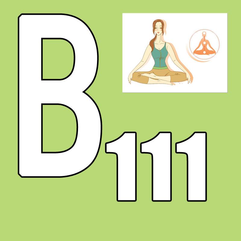 Горячая новинка! Выпуск 2026.Q – обзор и цена Yoga Fitness Course